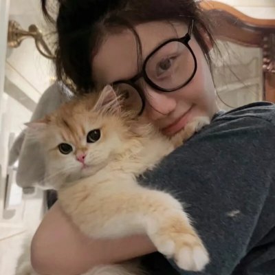 派特森与芬达猫4 海报
