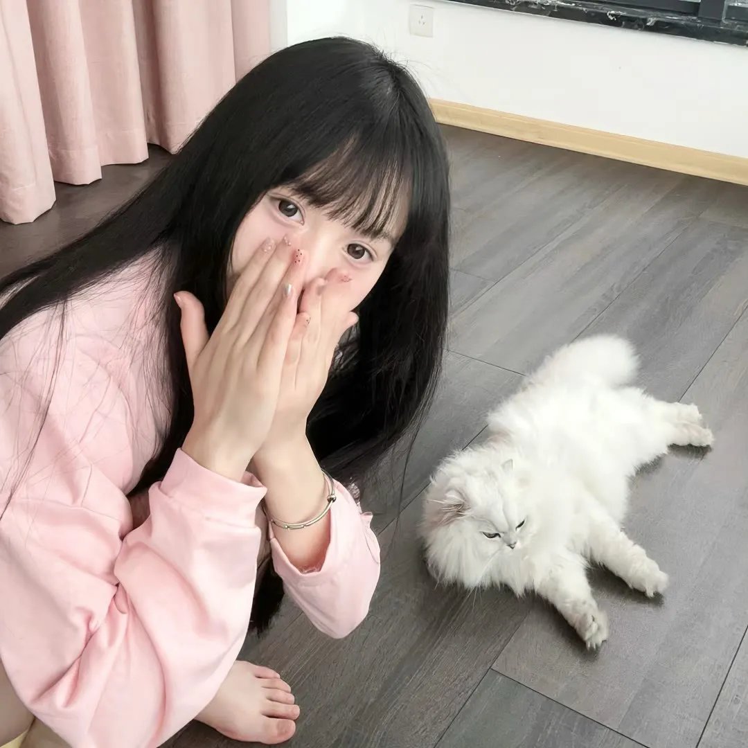 全面搜寻圣诞狗狗 海报